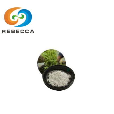 Ampelopsis Grossedentata Extract Ampelopsis Grossedentata Extract